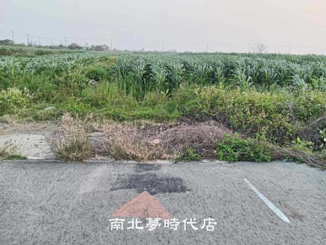 台南農地-1