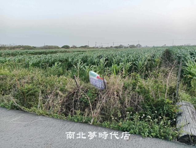 台南農地-2