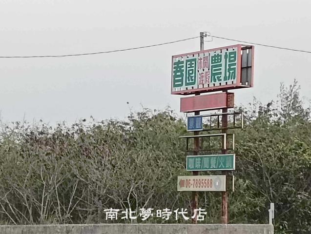 台南農地-6