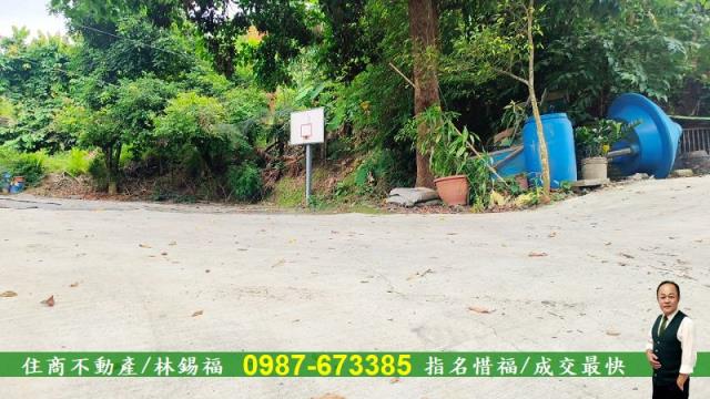 台南農地-10