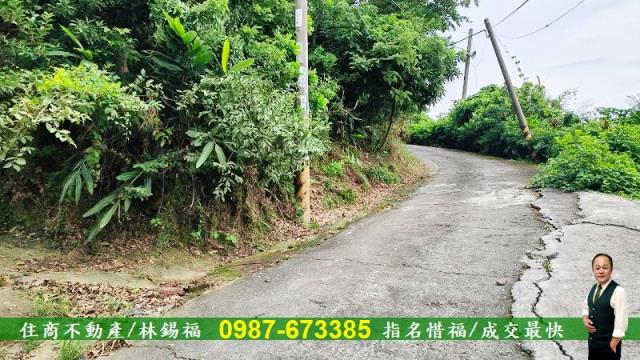 台南農地-11