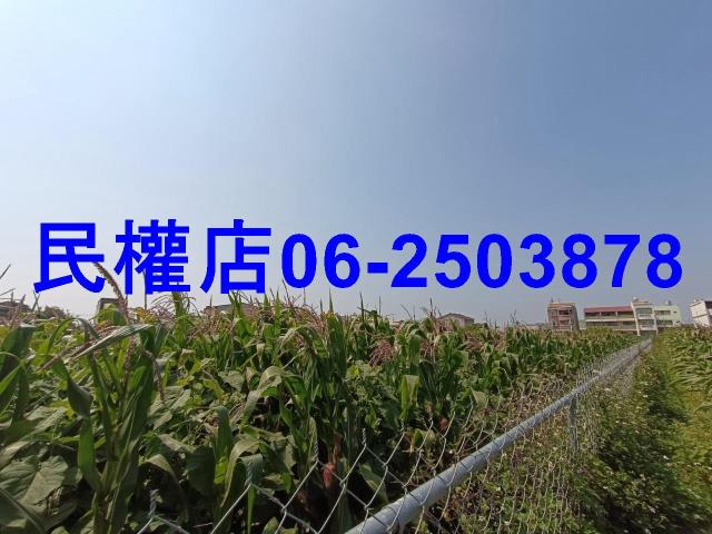 台南新營農地-10