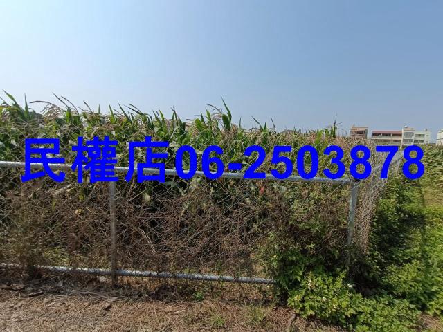 台南新營農地-4