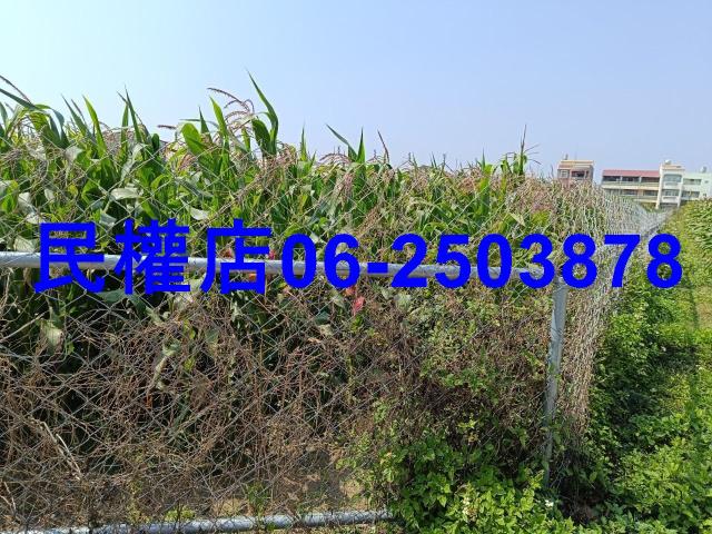 台南新營農地-5