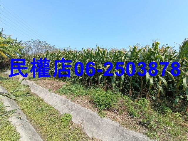 台南新營農地-10