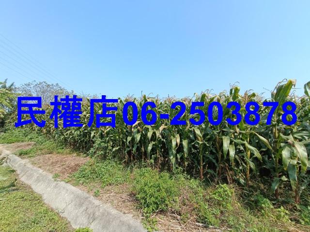 台南新營農地-11