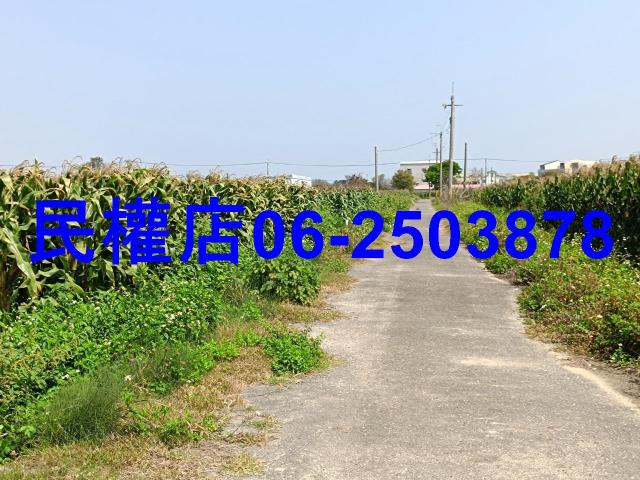 台南新營農地-1