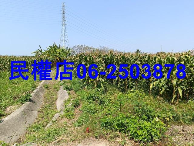 台南新營農地-2