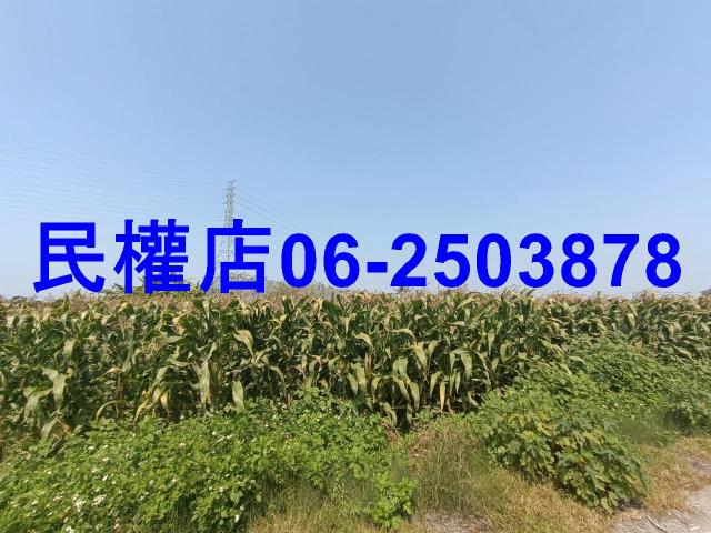 台南新營農地-5