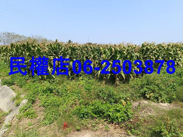 台南新營農地-6