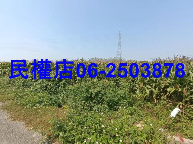 台南新營農地-7