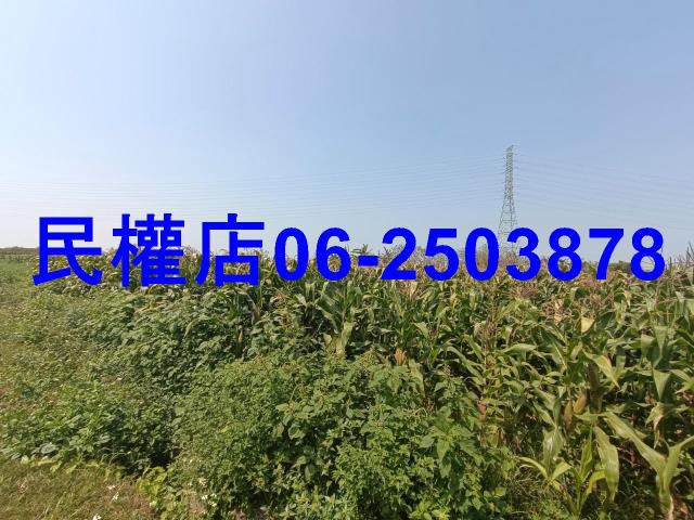 台南新營農地-8