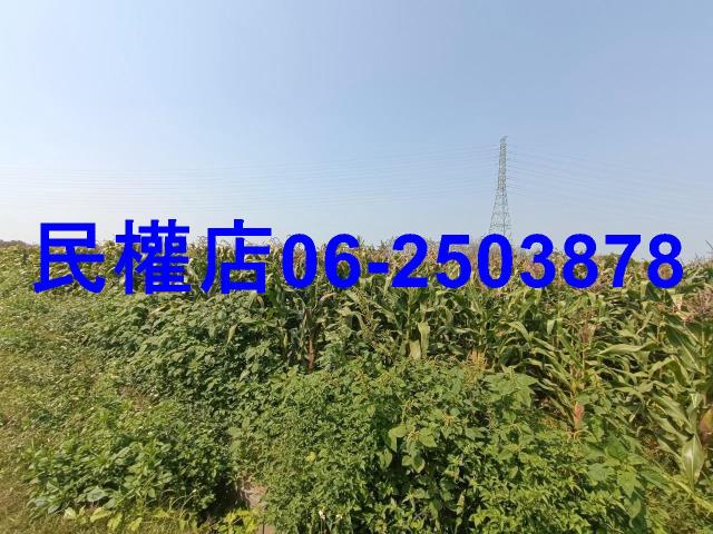 台南新營農地-9