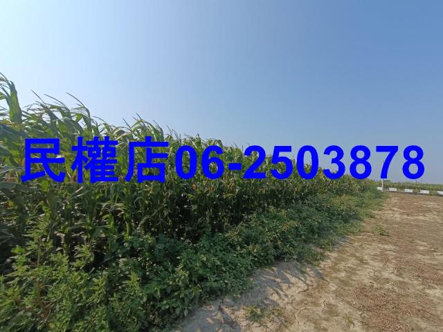台南學甲農地-10