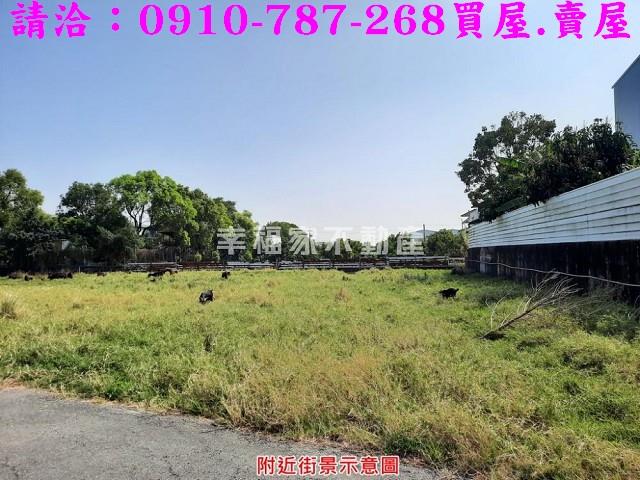 歸仁農地-4
