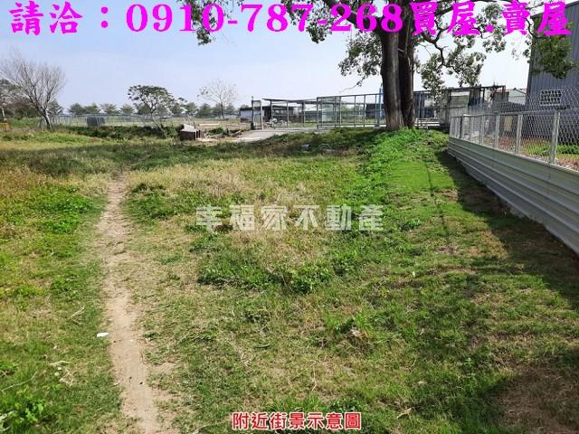 歸仁農地-6