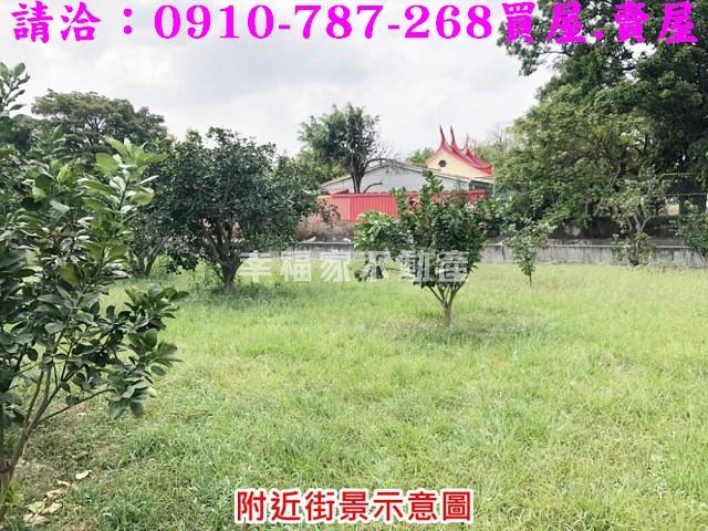 麻豆農地-10
