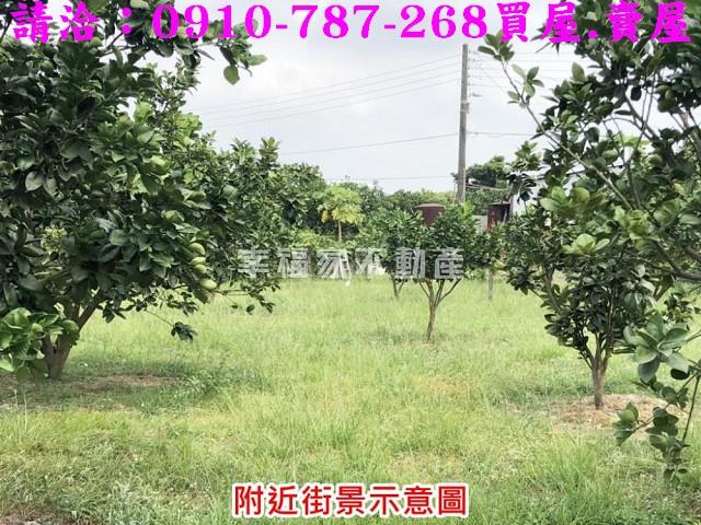 麻豆農地-11