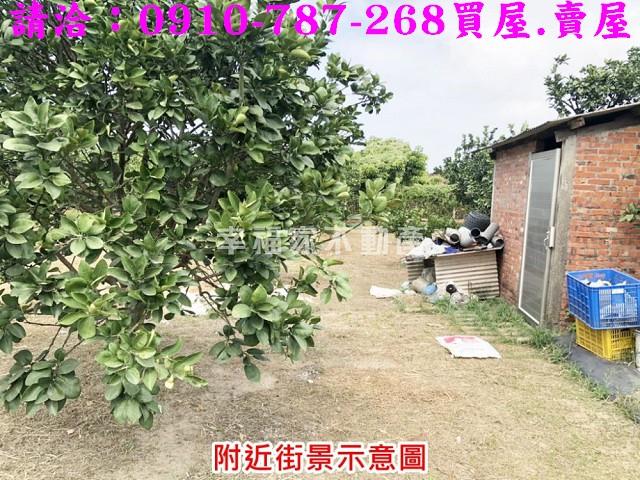 麻豆農地-4