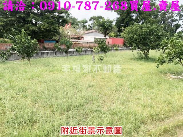 麻豆農地-5