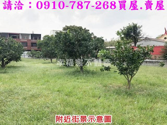 麻豆農地-7