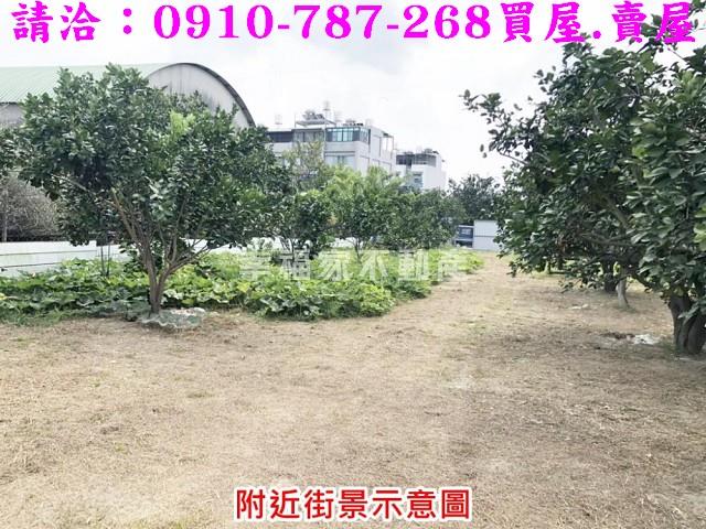 麻豆農地-8