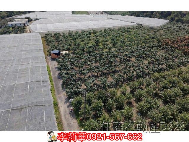 玉井農地-3