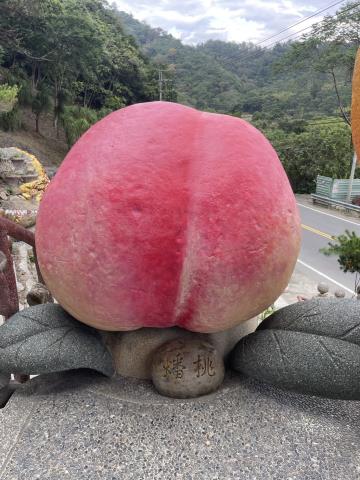 南投竹山建地-10