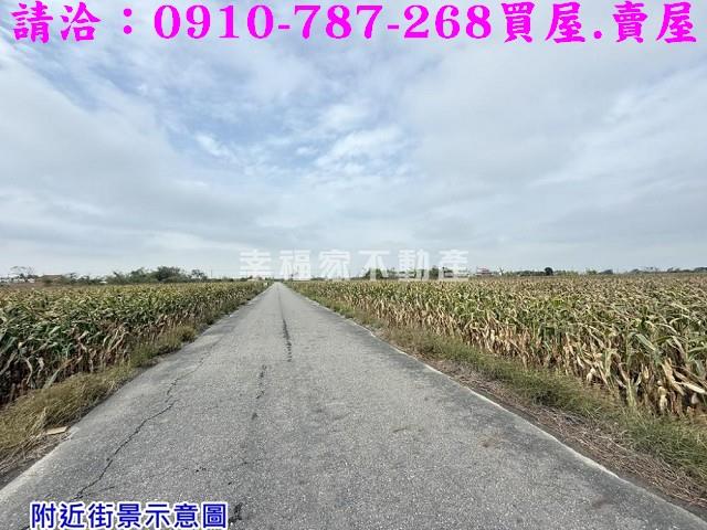 台南農地-11