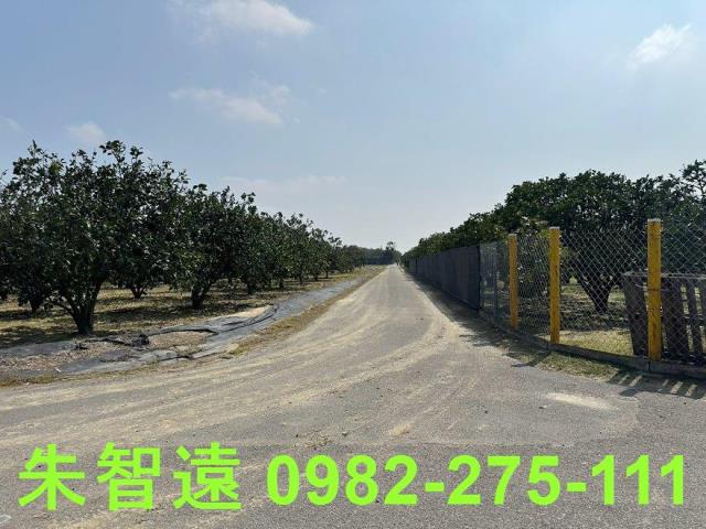 麻豆農地-10