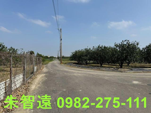 麻豆農地-11