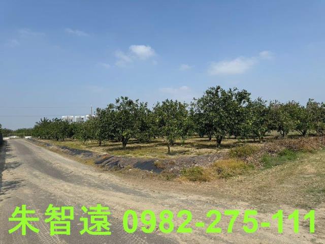 麻豆農地-1