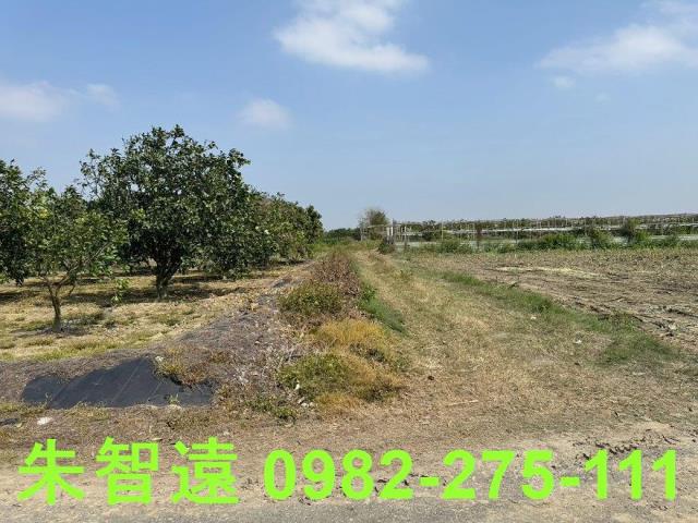 麻豆農地-3