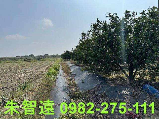 麻豆農地-7