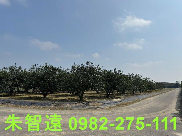麻豆農地-9
