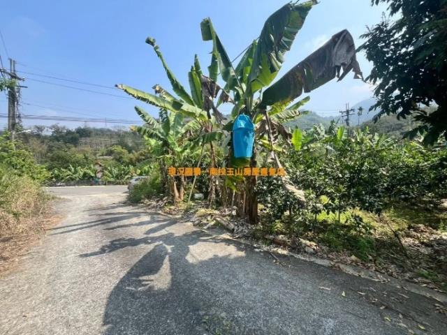 中寮農地-3