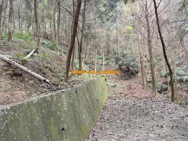 中寮農地-10