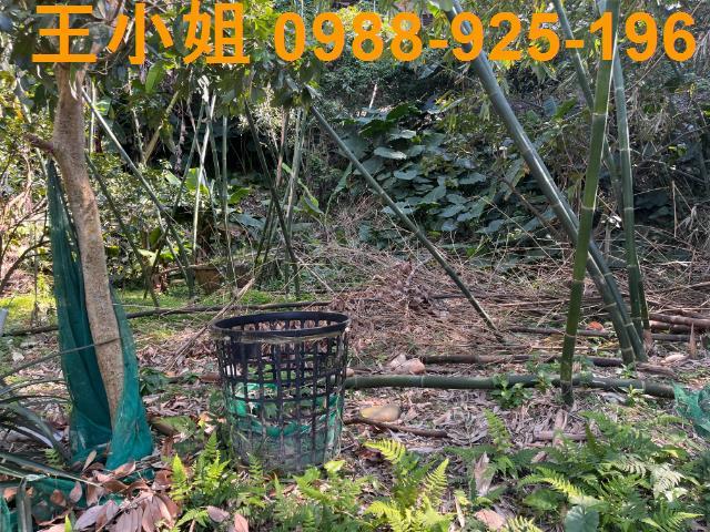 桃園大溪農地-3