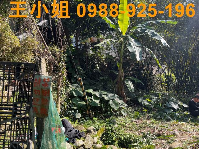 桃園大溪農地-4