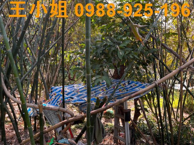 桃園大溪農地-6