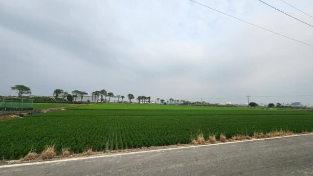 善化農地-2