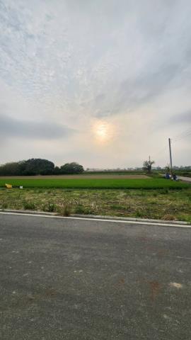 善化農地-5