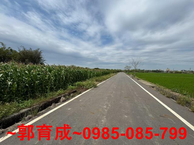 東山農地-1