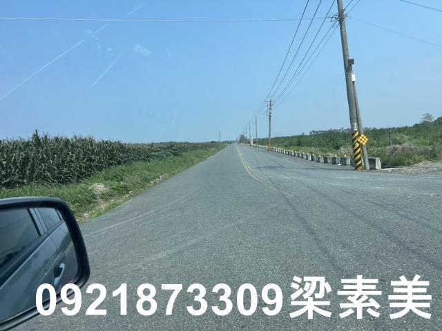 善化農地-10