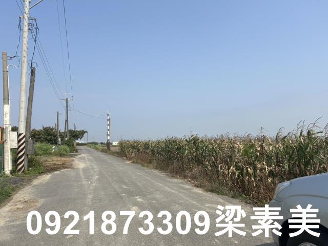 善化農地-2