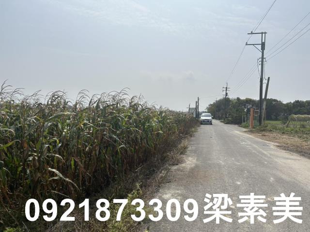 善化農地-6