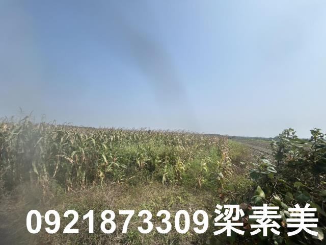 善化農地-7