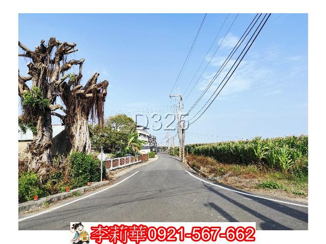 台南農地-1