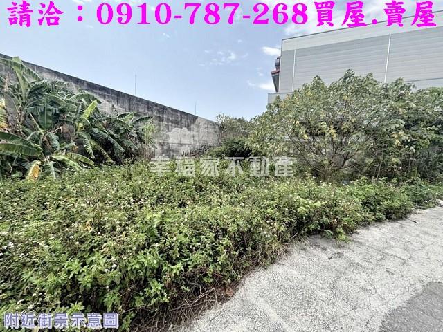 台南山上農地-11