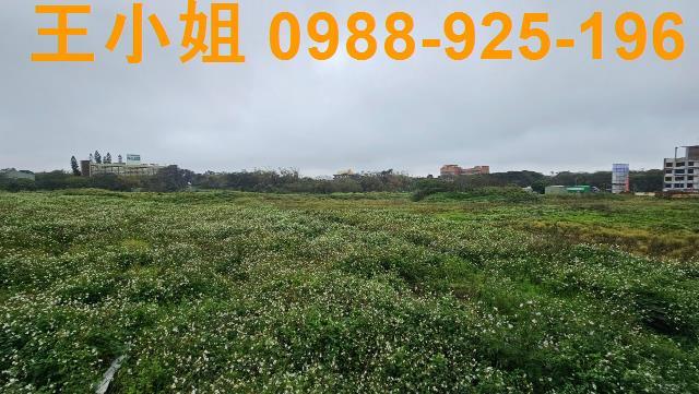 大園農地-1
